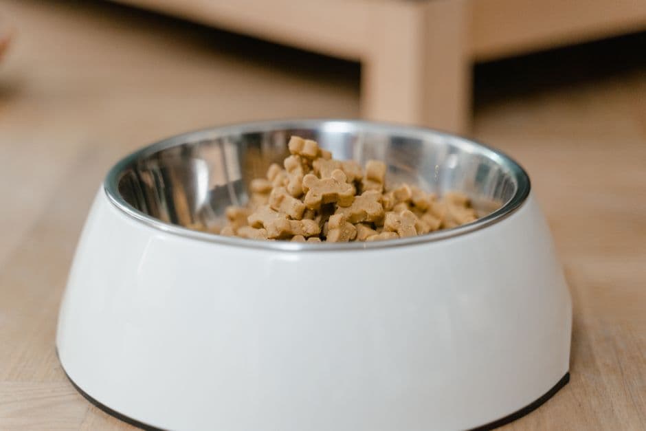 Ração premium cães adultos 15kg